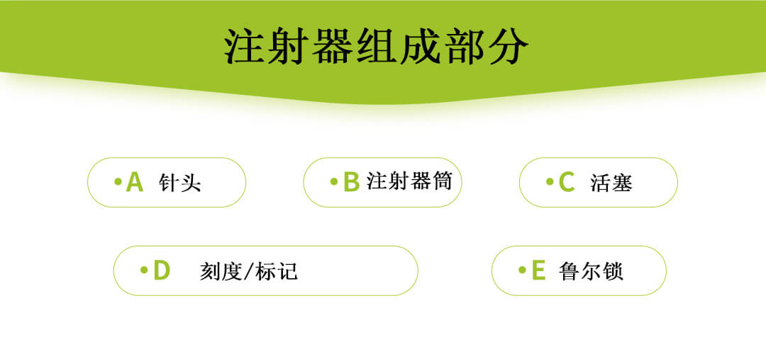 注射器组成部分.jpg